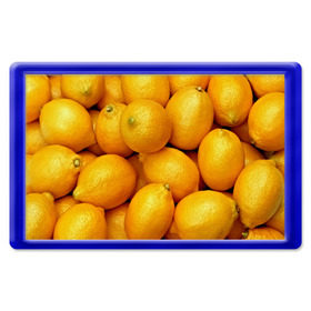 Магнит 45*70 с принтом Лимончики , Пластик | Размер: 78*52 мм; Размер печати: 70*45 | 3d | витамин | еда | желтый | лето | лимон | много | пища | прикольные | сочные | фрукты | цитрус | яркие