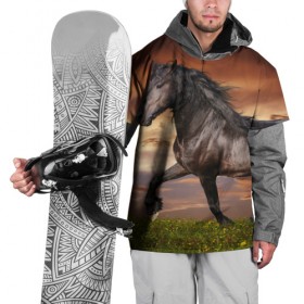 Накидка на куртку 3D с принтом Черный конь , 100% полиэстер |  | Тематика изображения на принте: вожжи | голоп | грация | езда | есаул | жеребец | животное | кобыла | кобылица | конь | копыта | копыто | лошадь | пегас | пони | рысак | сбруя | скакун | скачет | стойло | троя