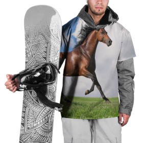 Накидка на куртку 3D с принтом Жеребец , 100% полиэстер |  | вожжи | голоп | грация | езда | есаул | жеребец | животное | кобыла | кобылица | конь | копыта | копыто | лошадь | пегас | пони | рысак | сбруя | скакун | скачет | скачка | стойло | троя