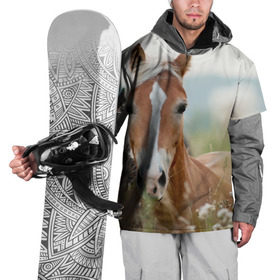 Накидка на куртку 3D с принтом Лошадь , 100% полиэстер |  | Тематика изображения на принте: вожжи | голоп | грация | езда | есаул | жеребец | животное | кобыла | кобылица | конь | копыта | копыто | лошадь | пегас | пони | рысак | сбруя | скакун | скачет | скачка | стойло | троя
