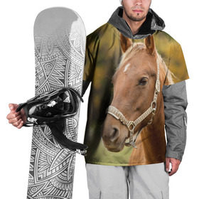 Накидка на куртку 3D с принтом Лошадь , 100% полиэстер |  | вожжи | голоп | грация | езда | есаул | жеребец | животное | кобыла | кобылица | конь | копыта | копыто | лошадь | пегас | пони | рысак | сбруя | скакун | скачет | скачка | стойло | троя