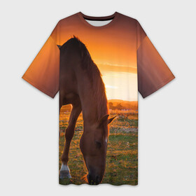Платье-футболка 3D с принтом Лошадь на закате ,  |  | вожжи | голоп | грация | езда | есаул | жеребец | животное | кобыла | кобылица | конь | копыта | копыто | лошадь | пегас | пони | рысак | сбруя | скакун | скачет | скачка | стойло | троя