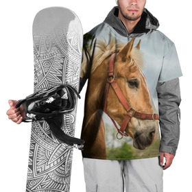 Накидка на куртку 3D с принтом Лошадка , 100% полиэстер |  | Тематика изображения на принте: вожжи | голоп | грация | езда | есаул | жеребец | животное | кобыла | кобылица | конь | копыта | копыто | лошадь | пегас | пони | рысак | сбруя | скакун | скачет | скачка | стойло | троя