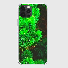Чехол для iPhone 12 Pro Max с принтом Зелёная ель , Силикон |  | 3d | ёлка | ель | зелёный | лес | новый год | праздник | природа | текстура | фон