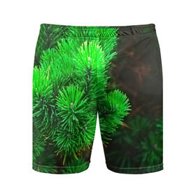 Мужские шорты 3D спортивные с принтом Зелёная ель ,  |  | 3d | ёлка | ель | зелёный | лес | новый год | праздник | природа | текстура | фон