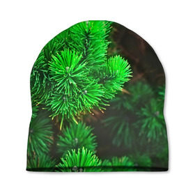 Шапка 3D с принтом Зелёная ель , 100% полиэстер | универсальный размер, печать по всей поверхности изделия | Тематика изображения на принте: 3d | ёлка | ель | зелёный | лес | новый год | праздник | природа | текстура | фон