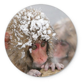 Коврик круглый с принтом Обезьянка и зима , резина и полиэстер | круглая форма, изображение наносится на всю лицевую часть | бабуин | гамадрил | гиббон | горилла | гуманоид | дарвин | животное | зоопарк | кинг конг | мартышка | маугли | обезьяна | орангутанг | предок | примат | рожа | хомо сапиенс | шимпанзе