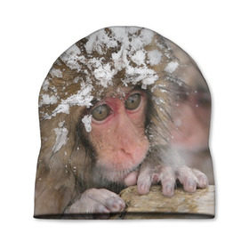 Шапка 3D с принтом Обезьянка и зима , 100% полиэстер | универсальный размер, печать по всей поверхности изделия | бабуин | гамадрил | гиббон | горилла | гуманоид | дарвин | животное | зоопарк | кинг конг | мартышка | маугли | обезьяна | орангутанг | предок | примат | рожа | хомо сапиенс | шимпанзе