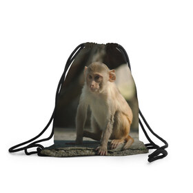 Рюкзак-мешок 3D с принтом Мартышка , 100% полиэстер | плотность ткани — 200 г/м2, размер — 35 х 45 см; лямки — толстые шнурки, застежка на шнуровке, без карманов и подкладки | животное | мартышка | обезьяна | примат