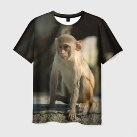 Мужская футболка 3D с принтом Мартышка , 100% полиэфир | прямой крой, круглый вырез горловины, длина до линии бедер | животное | мартышка | обезьяна | примат