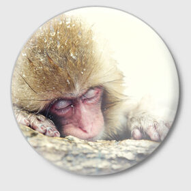 Значок с принтом Обезьянка спит ,  металл | круглая форма, металлическая застежка в виде булавки | Тематика изображения на принте: бабуин | животное | обезьяна | орангутанг | примат