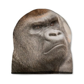 Шапка 3D с принтом Обезьяна , 100% полиэстер | универсальный размер, печать по всей поверхности изделия | горилла | животное | обезьяна | примат