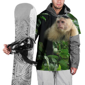 Накидка на куртку 3D с принтом Обезьянка в джунглях , 100% полиэстер |  | бабуин | гамадрил | гиббон | горилла | гуманоид | дарвин | животное | зоопарк | кинг конг | мартышка | маугли | обезьяна | орангутанг | предок | примат | рожа | хомо сапиенс | шимпанзе