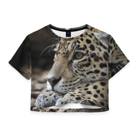 Женская футболка 3D укороченная с принтом Леопард , 100% полиэстер | круглая горловина, длина футболки до линии талии, рукава с отворотами | властелин | грация | животные | зверь | кот | кошачий | кошки | крупный | леопард | лес | милый | млекопитающее | природа | пятна | рыжий | усатый | усы | фауна | флора | хищник | хозяин | царь джунгли
