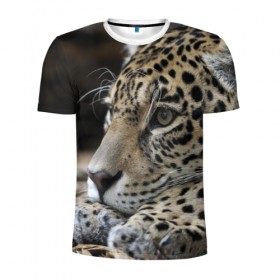 Мужская футболка 3D спортивная с принтом Леопард , 100% полиэстер с улучшенными характеристиками | приталенный силуэт, круглая горловина, широкие плечи, сужается к линии бедра | властелин | грация | животные | зверь | кот | кошачий | кошки | крупный | леопард | лес | милый | млекопитающее | природа | пятна | рыжий | усатый | усы | фауна | флора | хищник | хозяин | царь джунгли