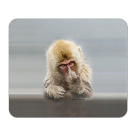 Коврик прямоугольный с принтом Японская макака , натуральный каучук | размер 230 х 185 мм; запечатка лицевой стороны | Тематика изображения на принте: макак | мартышка | обезьяна | палец | япония