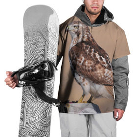 Накидка на куртку 3D с принтом Ястреб , 100% полиэстер |  | белый | беркут | большой | горный | грифон | клюв | коготь | кондор | коршун | крылья | ночной | огромный | орел | орлан | перья | полет | птица | размах крыла | сокол | степной | хищник | ястреб