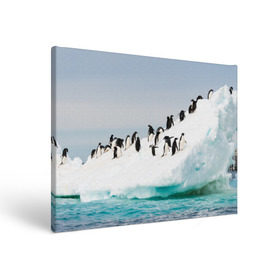 Холст прямоугольный с принтом Пингвины на айсберге , 100% ПВХ |  | Тематика изображения на принте: айсберг | антарктида | антарктика | арктика | буревестник | глупый | императорский | клюв | королевский | крылья | ласты | лёд | линукс | океан | пилигрим | полюс | птица | север | снег | умка | фрак
