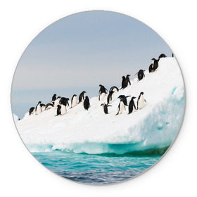 Коврик круглый с принтом Пингвины на айсберге , резина и полиэстер | круглая форма, изображение наносится на всю лицевую часть | айсберг | антарктида | антарктика | арктика | буревестник | глупый | императорский | клюв | королевский | крылья | ласты | лёд | линукс | океан | пилигрим | полюс | птица | север | снег | умка | фрак