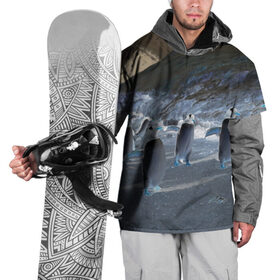 Накидка на куртку 3D с принтом Ночные пингвины в горах , 100% полиэстер |  | Тематика изображения на принте: 