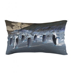 Подушка 3D антистресс с принтом Ночные пингвины в горах , наволочка — 100% полиэстер, наполнитель — вспененный полистирол | состоит из подушки и наволочки на молнии | Тематика изображения на принте: 