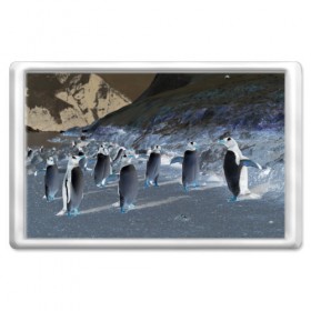 Магнит 45*70 с принтом Ночные пингвины в горах , Пластик | Размер: 78*52 мм; Размер печати: 70*45 | 