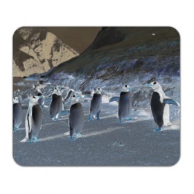 Коврик прямоугольный с принтом Ночные пингвины в горах , натуральный каучук | размер 230 х 185 мм; запечатка лицевой стороны | 