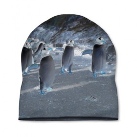 Шапка 3D с принтом Ночные пингвины в горах , 100% полиэстер | универсальный размер, печать по всей поверхности изделия | 
