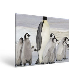 Холст прямоугольный с принтом Пингвин и пингвинята , 100% ПВХ |  | Тематика изображения на принте: айсберг | антарктида | антарктика | арктика | буревестник | глупый | императорский | клюв | королевский | крылья | ласты | лёд | линукс | океан | пилигрим | полюс | птица | север | снег | умка | фрак
