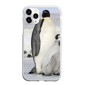 Чехол для iPhone 11 Pro Max матовый с принтом Пингвин и пингвинята , Силикон |  | айсберг | антарктида | антарктика | арктика | буревестник | глупый | императорский | клюв | королевский | крылья | ласты | лёд | линукс | океан | пилигрим | полюс | птица | север | снег | умка | фрак