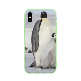 Чехол для Apple iPhone X силиконовый матовый с принтом Пингвин и пингвинята , Силикон | Печать на задней стороне чехла, без боковой панели | айсберг | антарктида | антарктика | арктика | буревестник | глупый | императорский | клюв | королевский | крылья | ласты | лёд | линукс | океан | пилигрим | полюс | птица | север | снег | умка | фрак