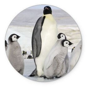 Коврик круглый с принтом Пингвин и пингвинята , резина и полиэстер | круглая форма, изображение наносится на всю лицевую часть | айсберг | антарктида | антарктика | арктика | буревестник | глупый | императорский | клюв | королевский | крылья | ласты | лёд | линукс | океан | пилигрим | полюс | птица | север | снег | умка | фрак