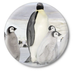 Значок с принтом Пингвин и пингвинята ,  металл | круглая форма, металлическая застежка в виде булавки | айсберг | антарктида | антарктика | арктика | буревестник | глупый | императорский | клюв | королевский | крылья | ласты | лёд | линукс | океан | пилигрим | полюс | птица | север | снег | умка | фрак