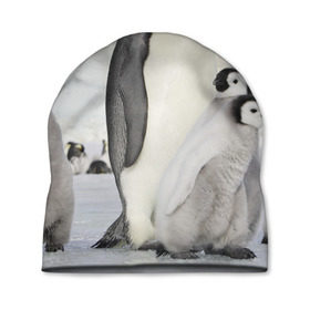 Шапка 3D с принтом Пингвин и пингвинята , 100% полиэстер | универсальный размер, печать по всей поверхности изделия | айсберг | антарктида | антарктика | арктика | буревестник | глупый | императорский | клюв | королевский | крылья | ласты | лёд | линукс | океан | пилигрим | полюс | птица | север | снег | умка | фрак