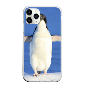 Чехол для iPhone 11 Pro матовый с принтом Пингвин , Силикон |  | айсберг | антарктида | антарктика | арктика | буревестник | глупый | императорский | клюв | королевский | крылья | ласты | лёд | линукс | океан | пилигрим | полюс | птица | север | снег | умка | фрак