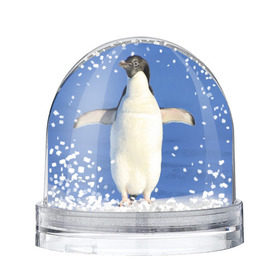 Снежный шар с принтом Пингвин , Пластик | Изображение внутри шара печатается на глянцевой фотобумаге с двух сторон | айсберг | антарктида | антарктика | арктика | буревестник | глупый | императорский | клюв | королевский | крылья | ласты | лёд | линукс | океан | пилигрим | полюс | птица | север | снег | умка | фрак
