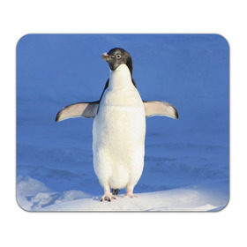 Коврик прямоугольный с принтом Пингвин , натуральный каучук | размер 230 х 185 мм; запечатка лицевой стороны | айсберг | антарктида | антарктика | арктика | буревестник | глупый | императорский | клюв | королевский | крылья | ласты | лёд | линукс | океан | пилигрим | полюс | птица | север | снег | умка | фрак