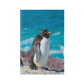 Обложка для паспорта матовая кожа с принтом Пингвин , натуральная матовая кожа | размер 19,3 х 13,7 см; прозрачные пластиковые крепления | айсберг | антарктида | антарктика | арктика | буревестник | глупый | императорский | клюв | королевский | крылья | ласты | лёд | линукс | океан | пилигрим | полюс | птица | север | снег | умка | фрак