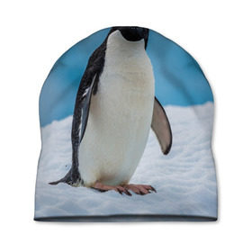 Шапка 3D с принтом Пингвин на айсберге , 100% полиэстер | универсальный размер, печать по всей поверхности изделия | айсберг | антарктида | антарктика | арктика | буревестник | глупый | императорский | клюв | королевский | крылья | ласты | лёд | линукс | океан | пилигрим | полюс | птица | север | снег | умка | фрак