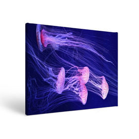 Холст прямоугольный с принтом Розовые медузы , 100% ПВХ |  | аквариум | вода | дайвинг | милые | море | океан | плывет | подводный мир | рыбалка | рыбка | рыбы | стая | фауна
