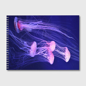 Альбом для рисования с принтом Розовые медузы , 100% бумага
 | матовая бумага, плотность 200 мг. | Тематика изображения на принте: аквариум | вода | дайвинг | милые | море | океан | плывет | подводный мир | рыбалка | рыбка | рыбы | стая | фауна