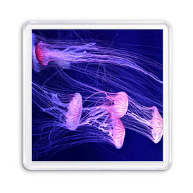 Магнит 55*55 с принтом Розовые медузы , Пластик | Размер: 65*65 мм; Размер печати: 55*55 мм | Тематика изображения на принте: аквариум | вода | дайвинг | милые | море | океан | плывет | подводный мир | рыбалка | рыбка | рыбы | стая | фауна