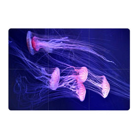 Магнитный плакат 3Х2 с принтом Розовые медузы , Полимерный материал с магнитным слоем | 6 деталей размером 9*9 см | Тематика изображения на принте: аквариум | вода | дайвинг | милые | море | океан | плывет | подводный мир | рыбалка | рыбка | рыбы | стая | фауна