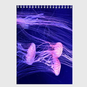 Скетчбук с принтом Розовые медузы , 100% бумага
 | 48 листов, плотность листов — 100 г/м2, плотность картонной обложки — 250 г/м2. Листы скреплены сверху удобной пружинной спиралью | аквариум | вода | дайвинг | милые | море | океан | плывет | подводный мир | рыбалка | рыбка | рыбы | стая | фауна