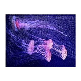 Обложка для студенческого билета с принтом Розовые медузы , натуральная кожа | Размер: 11*8 см; Печать на всей внешней стороне | Тематика изображения на принте: аквариум | вода | дайвинг | милые | море | океан | плывет | подводный мир | рыбалка | рыбка | рыбы | стая | фауна