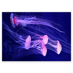 Поздравительная открытка с принтом Розовые медузы , 100% бумага | плотность бумаги 280 г/м2, матовая, на обратной стороне линовка и место для марки
 | аквариум | вода | дайвинг | милые | море | океан | плывет | подводный мир | рыбалка | рыбка | рыбы | стая | фауна