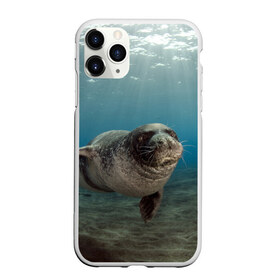 Чехол для iPhone 11 Pro матовый с принтом Тюлень под водой , Силикон |  | Тематика изображения на принте: вода | дайвинг | жирный | косяк | красивые | милые | море | морская | морской котик | океан | плывет | подводный мир | прикольные | речная | рыба | рыбалка | стая | тюлень | усатый кот | фауна | чешуя