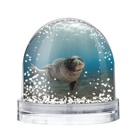 Снежный шар с принтом Тюлень под водой , Пластик | Изображение внутри шара печатается на глянцевой фотобумаге с двух сторон | вода | дайвинг | жирный | косяк | красивые | милые | море | морская | морской котик | океан | плывет | подводный мир | прикольные | речная | рыба | рыбалка | стая | тюлень | усатый кот | фауна | чешуя