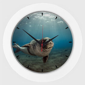Настенные часы с принтом Тюлень под водой ,  |  | вода | дайвинг | жирный | косяк | красивые | милые | море | морская | морской котик | океан | плывет | подводный мир | прикольные | речная | рыба | рыбалка | стая | тюлень | усатый кот | фауна | чешуя