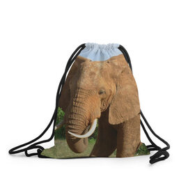 Рюкзак-мешок 3D с принтом Слон , 100% полиэстер | плотность ткани — 200 г/м2, размер — 35 х 45 см; лямки — толстые шнурки, застежка на шнуровке, без карманов и подкладки | 